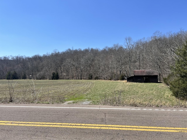 3795 Wayland Springs Rd, Iron City, TN 38463 - view of street featuring a forest view and a rural view