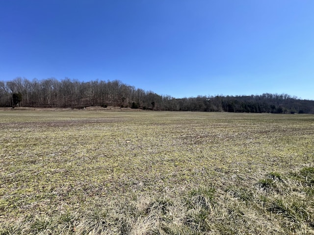 3795 Wayland Springs Rd, Iron City, TN 38463 - view of nature featuring a rural view and a forest view