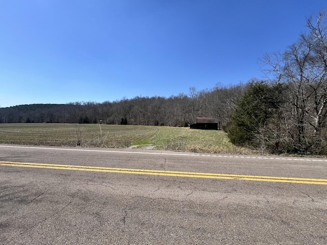 3795 Wayland Springs Rd, Iron City, TN 38463 - view of road featuring a rural view and a view of trees