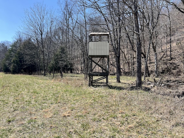 3795 Wayland Springs Rd, Iron City, TN 38463 - view of yard