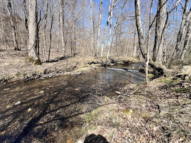 3795 Wayland Springs Rd, Iron City, TN 38463 - view of local wilderness with a view of trees
