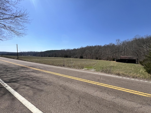 3795 Wayland Springs Rd, Iron City, TN 38463 - view of road with a wooded view