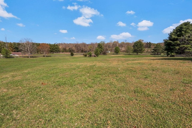 view of yard featuring a rural view