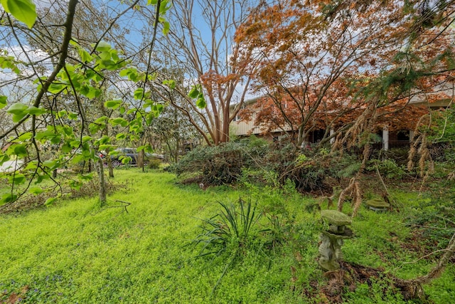 6543 Upton Ln, Nashville, TN 37209 - photo 14