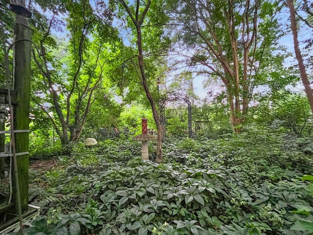 6543 Upton Ln, Nashville, TN 37209 - photo 29