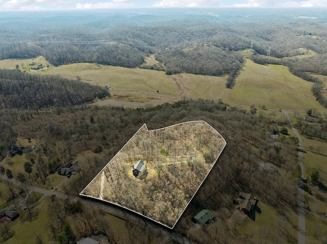 605 Natchez Bend Rd, Nashville, TN 37221 - photo 4