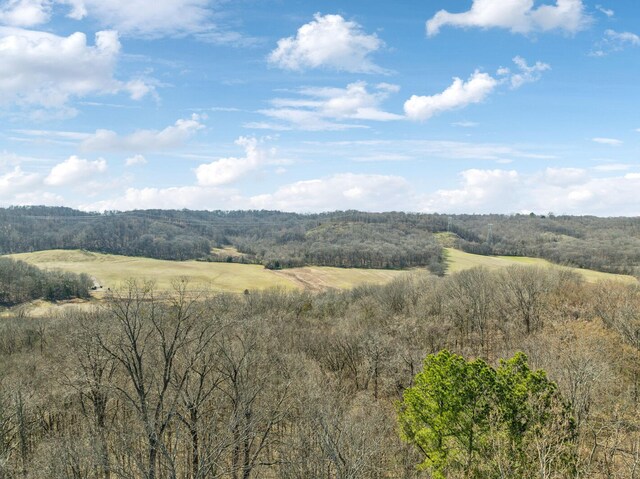 605 Natchez Bend Rd, Nashville, TN 37221 - photo 23
