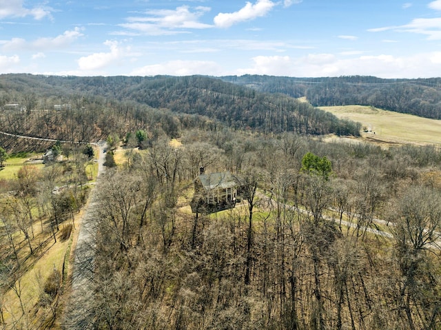 605 Natchez Bend Rd, Nashville, TN 37221 - photo 47