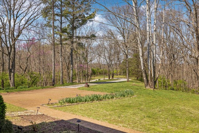 605 Natchez Bend Rd, Nashville, TN 37221 - photo 12