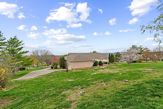 view of yard with driveway
