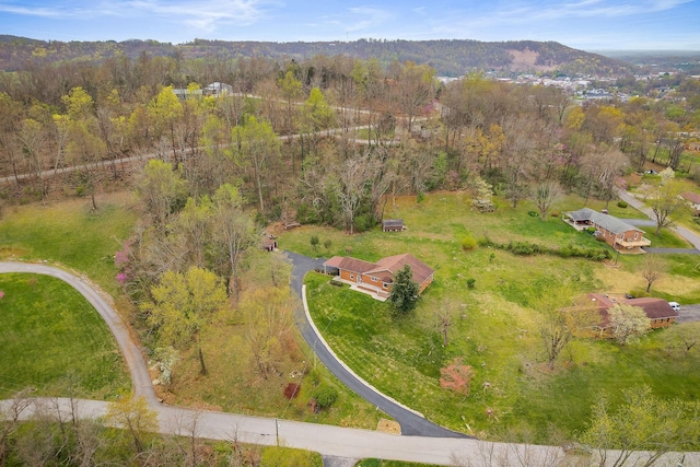817 Peach Dr, Livingston, TN 38570 - photo 3