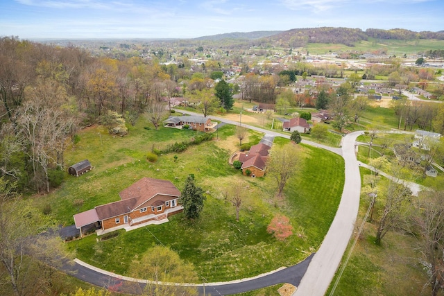 817 Peach Dr, Livingston, TN 38570 - photo 5