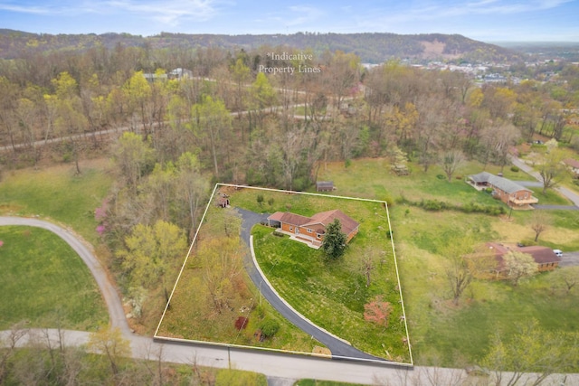 817 Peach Dr, Livingston, TN 38570 - photo 4