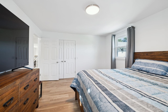 1048 Edgewater Cir, Gallatin, TN 37066 - bedroom featuring light wood-type flooring and a closet