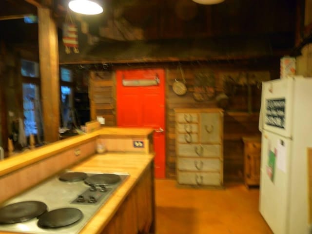 kitchen with freestanding refrigerator and electric cooktop