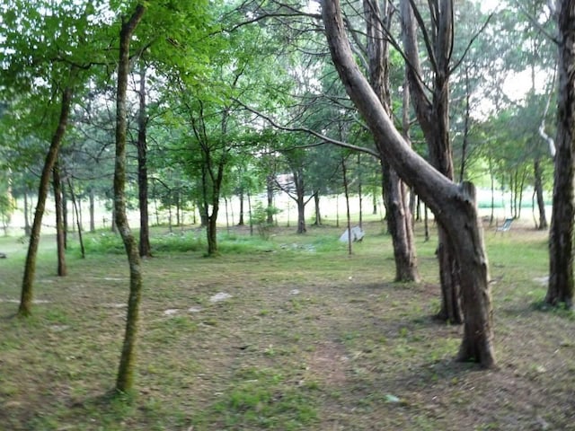 view of nature