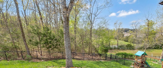 6029 Christmas Dr, Nolensville, TN 37135 - view of yard featuring a playground and fence