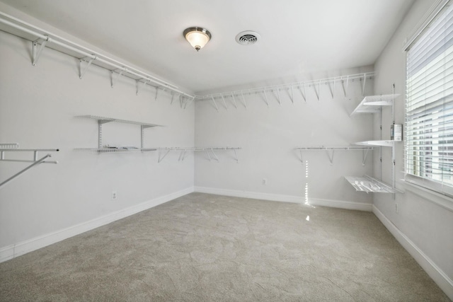 walk in closet with visible vents and carpet floors