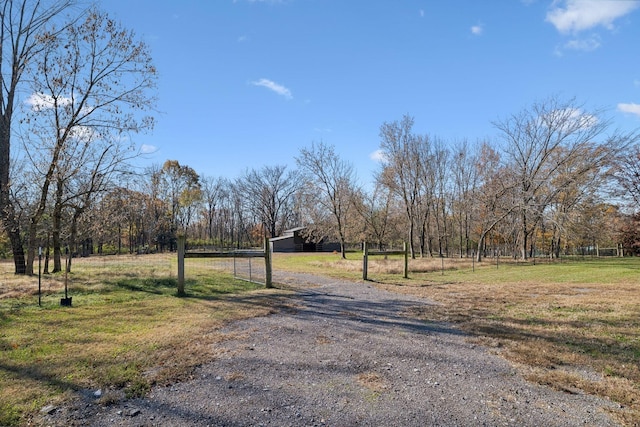view of road with gravel driveway