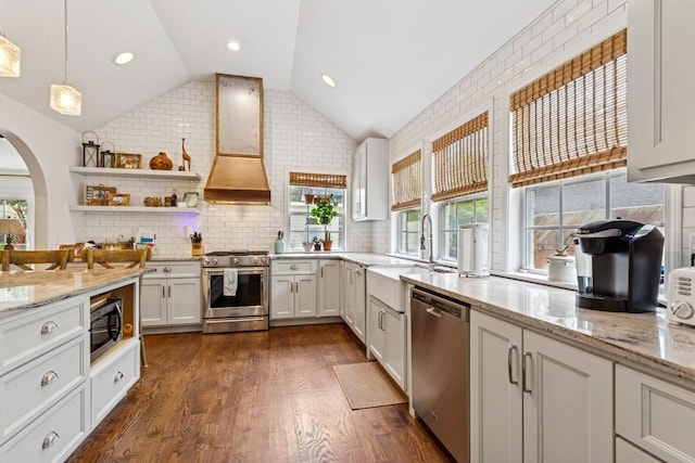 210 Cherokee Rd, Nashville, TN 37205 - kitchen featuring custom exhaust hood, appliances with stainless steel finishes, dark wood-style flooring, lofted ceiling, and a sink