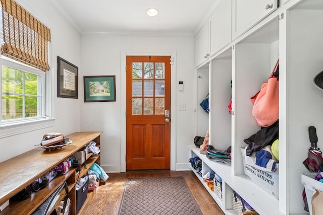 210 Cherokee Rd, Nashville, TN 37205 - mudroom featuring crown molding, a healthy amount of sunlight, wood finished floors, and recessed lighting