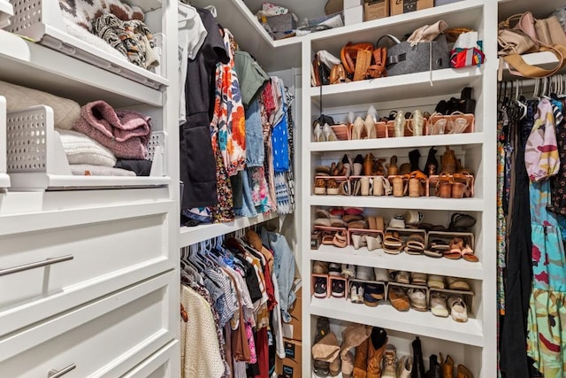 210 Cherokee Rd, Nashville, TN 37205 - view of walk in closet