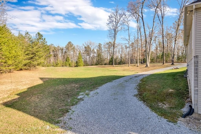 700 Falls Rd, Monterey, TN 38574 - view of yard with driveway