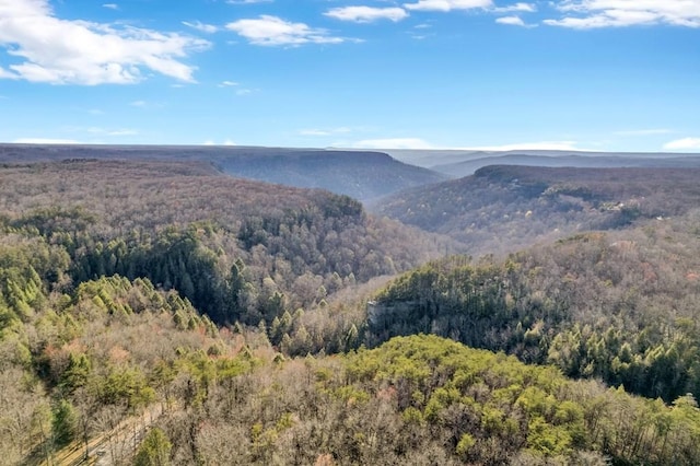 700 Falls Rd, Monterey, TN 38574 - property view of mountains featuring a view of trees