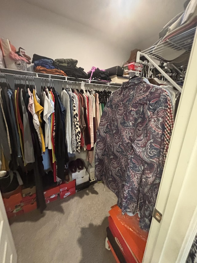 spacious closet featuring carpet flooring