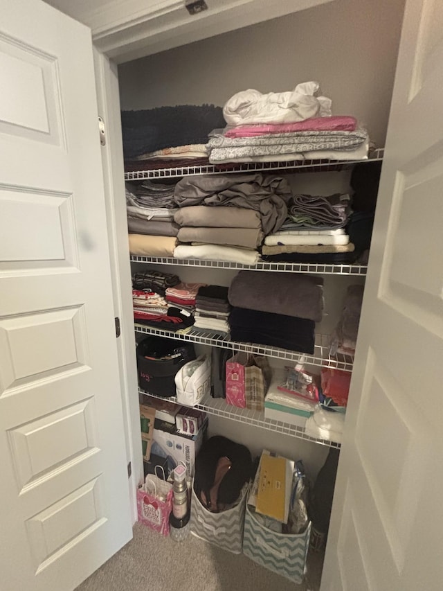 view of closet