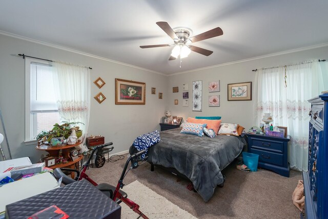 35 Coatsland Dr, Jackson, TN 38301 - photo 9