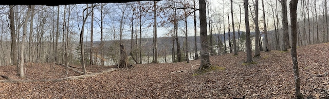 0 Mountain Harbor Dr, Sparta, TN 38583 - photo 11