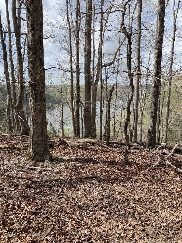 0 Mountain Harbor Dr, Sparta, TN 38583 - photo 9