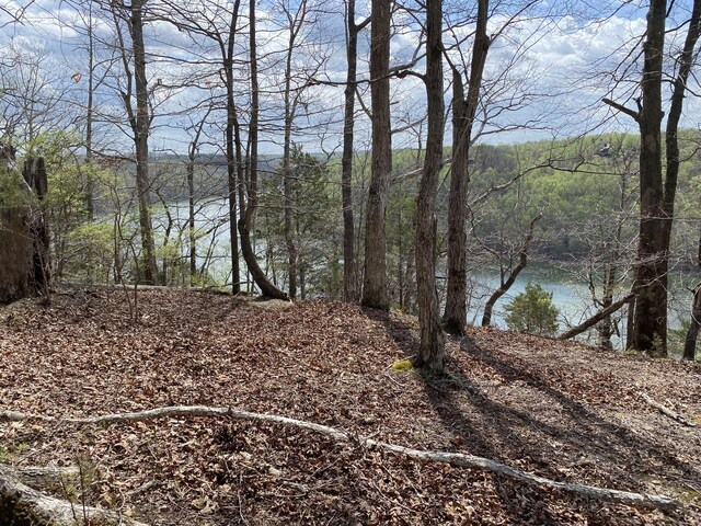 0 Mountain Harbor Dr, Sparta, TN 38583 - photo 10