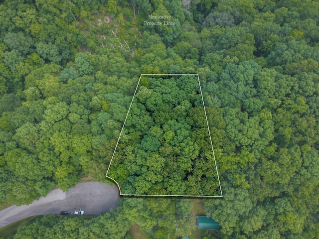 0 Mountain Harbor Dr, Sparta, TN 38583 - photo 4