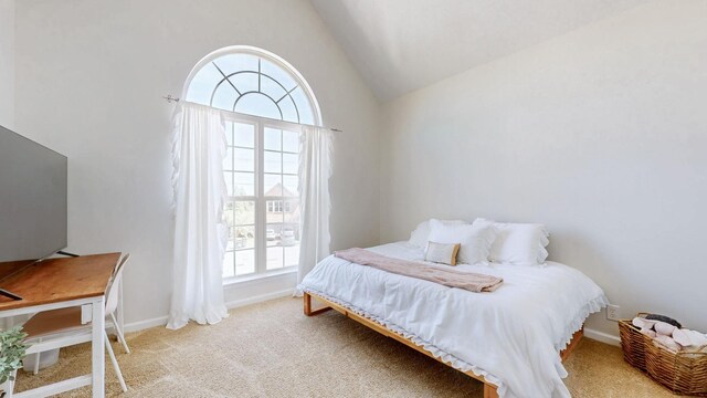 712 Sugar Mill Trl, Nashville, TN 37211 - photo 21