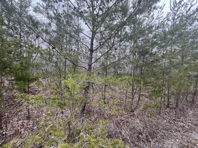 0 Maple Dr, Pikeville, TN 37367 - photo 2