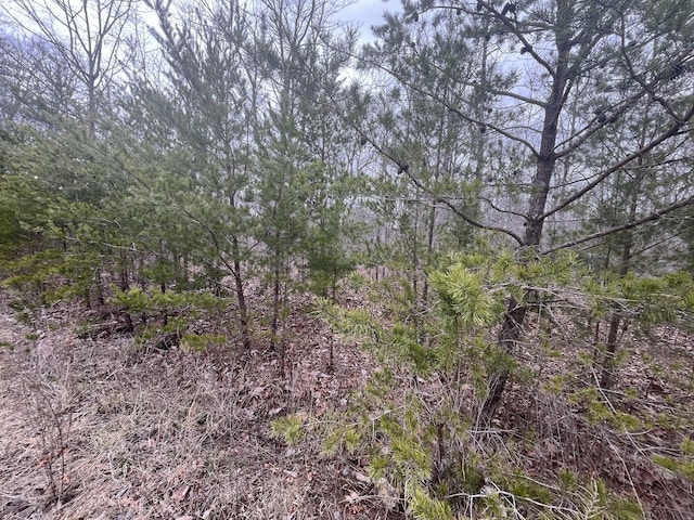 0 Maple Dr, Pikeville, TN 37367 - photo 1