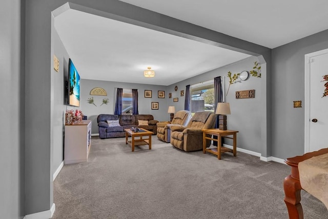 living area featuring baseboards and carpet floors