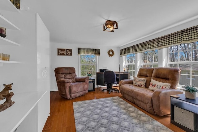 living room featuring wood finished floors