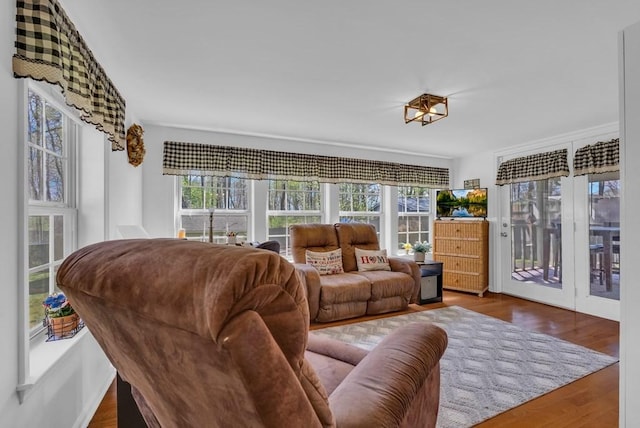 sunroom featuring plenty of natural light and wood finished floors