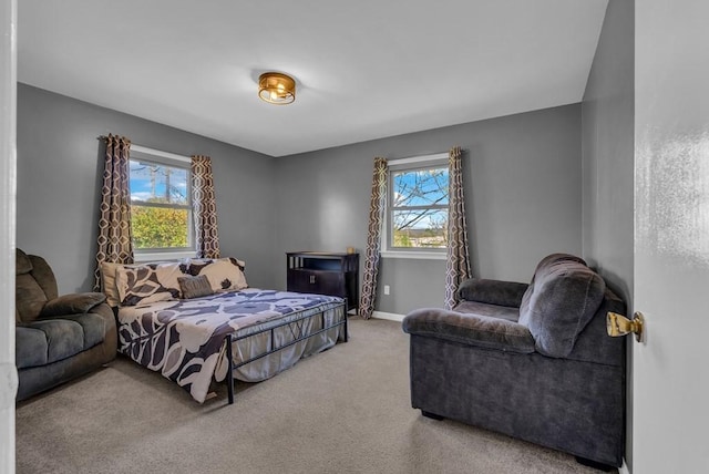carpeted bedroom with baseboards and multiple windows