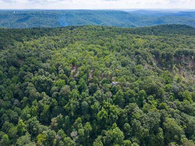 233 Crest View Ln, Sparta, TN 38583 - photo 29
