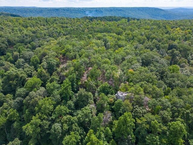 233 Crest View Ln, Sparta, TN 38583 - photo 25