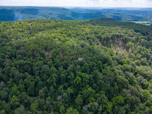 233 Crest View Ln, Sparta, TN 38583 - photo 33