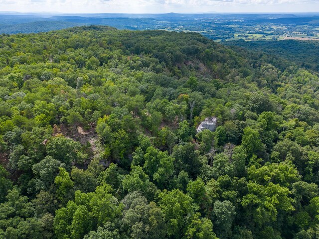 233 Crest View Ln, Sparta, TN 38583 - photo 27