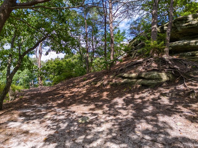 233 Crest View Ln, Sparta, TN 38583 - photo 17