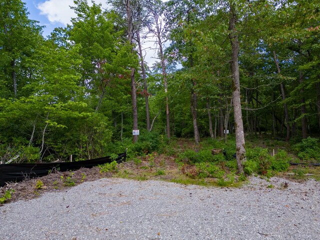 233 Crest View Ln, Sparta, TN 38583 - photo 19