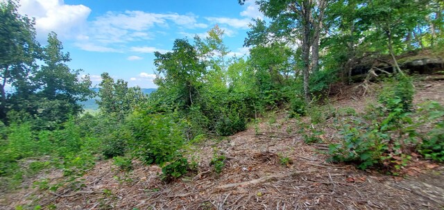 233 Crest View Ln, Sparta, TN 38583 - photo 41