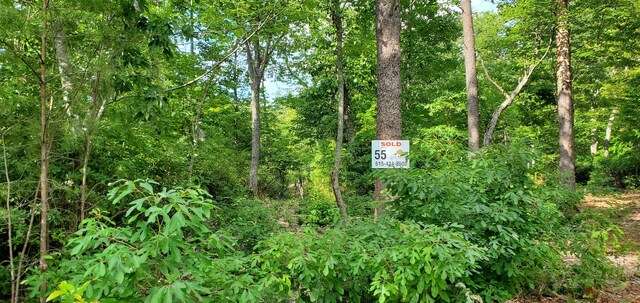 233 Crest View Ln, Sparta, TN 38583 - photo 37